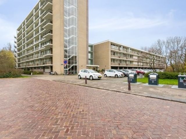 Apollolaan ONG, Leiden