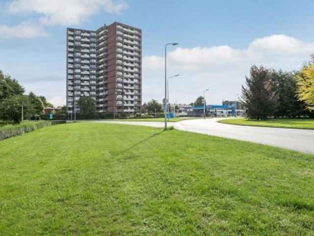 Via Regia ONG, Maastricht