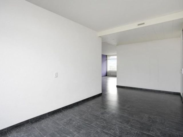 Mozartlaan ONG, Tilburg