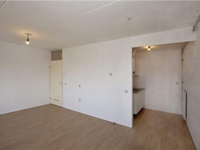 Ceintuurbaan ONG, Rotterdam