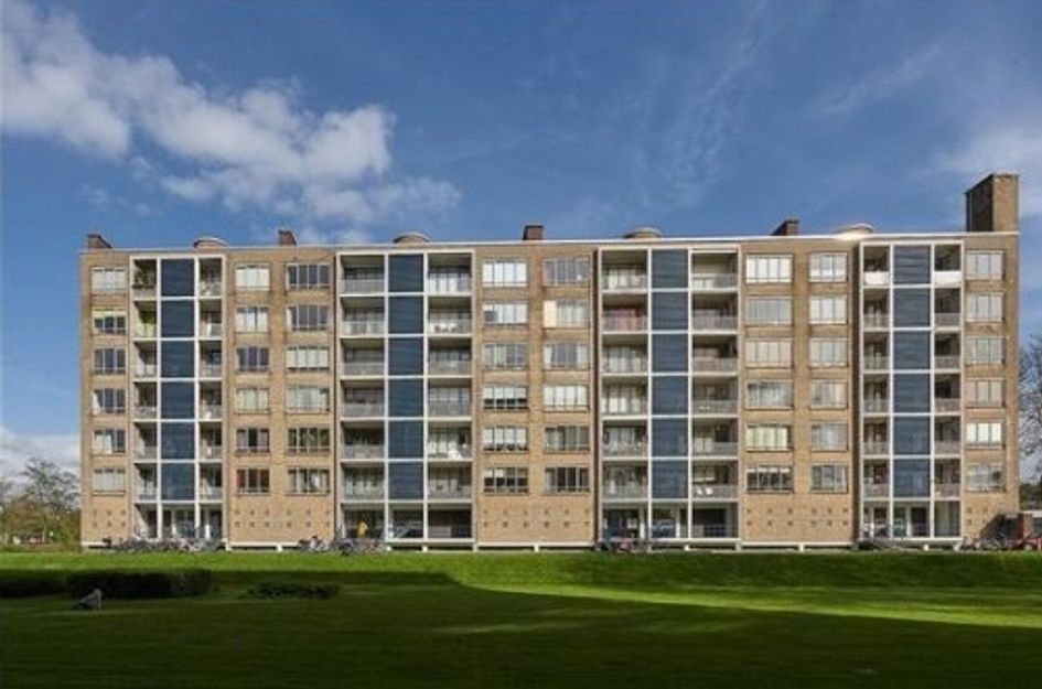 Van Alkemadelaan ONG