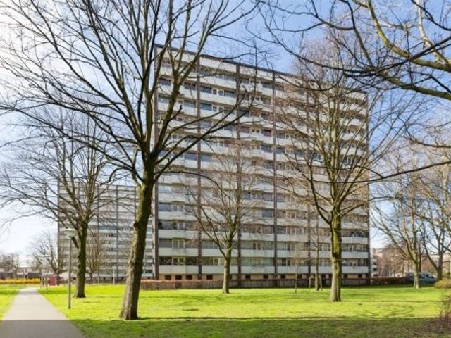 Roggekamp ONG, 's-Gravenhage