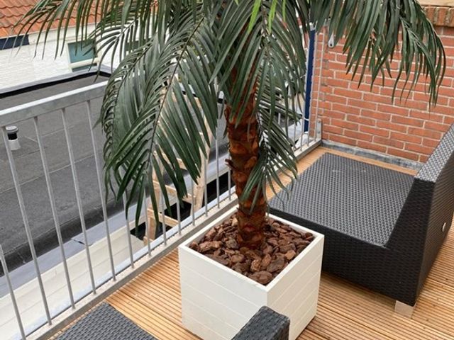 Marcelisstraat 109, 's-Gravenhage