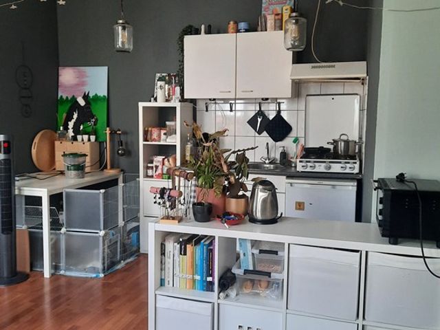 Zuidvliet 230b, Leeuwarden