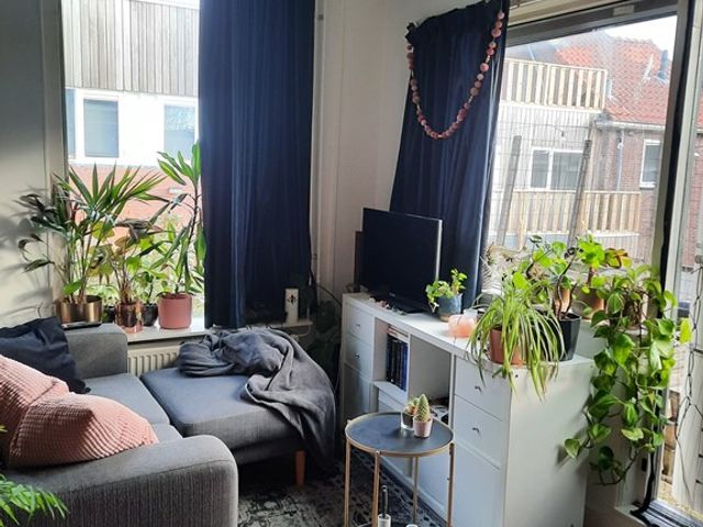 Zuidvliet 230b, Leeuwarden