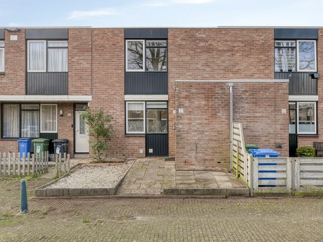 Kornet 21, Rotterdam