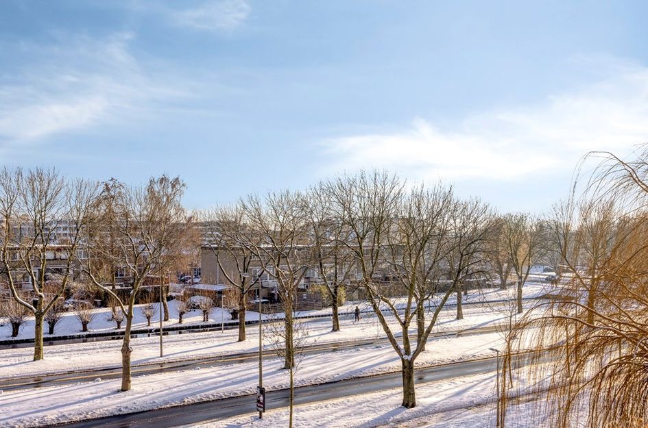 Zonnebloemstraat 128