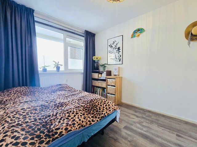 Erasmusplein 171, 's-Gravenhage