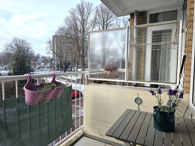 Erasmusplein 171, 's-Gravenhage