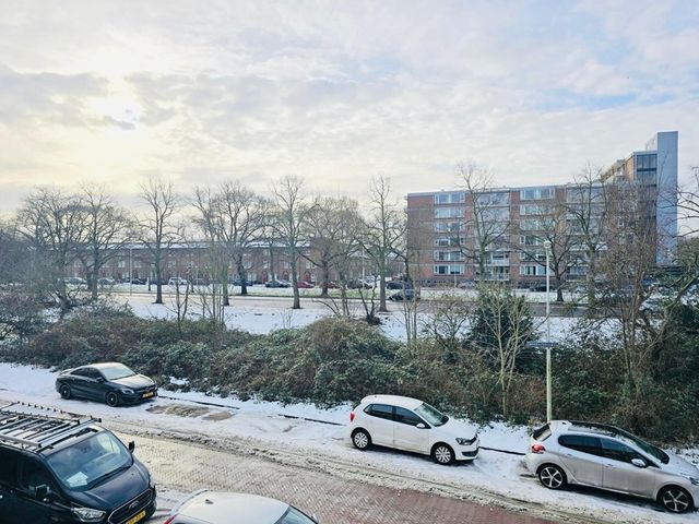 Erasmusplein 171, 's-Gravenhage