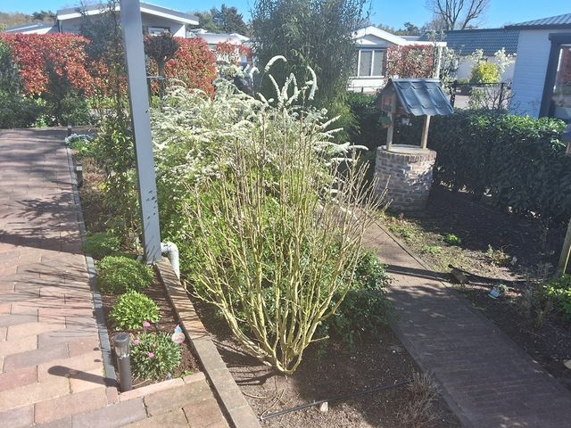 Dorperheideweg 34 2135, Arcen