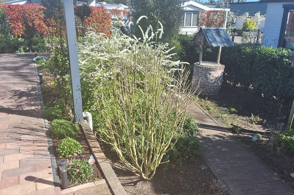 Dorperheideweg 34 2135