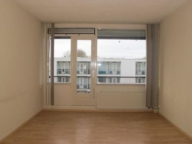 Loenermark ONG, Amsterdam