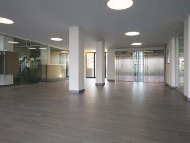 Bos en Lommerplantsoen ONG, Amsterdam