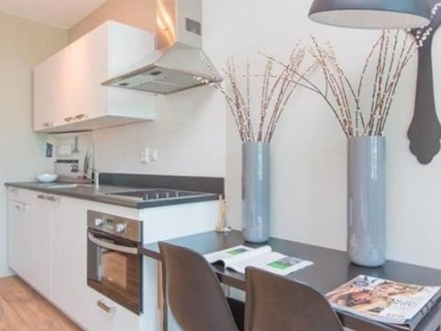 Bos en Lommerplantsoen ONG, Amsterdam