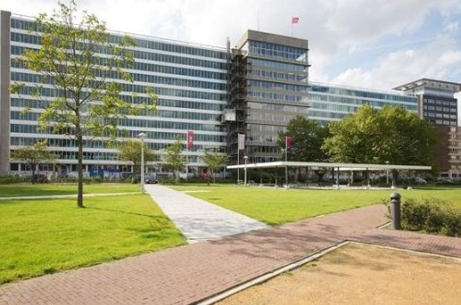 Bos en Lommerplantsoen ONG