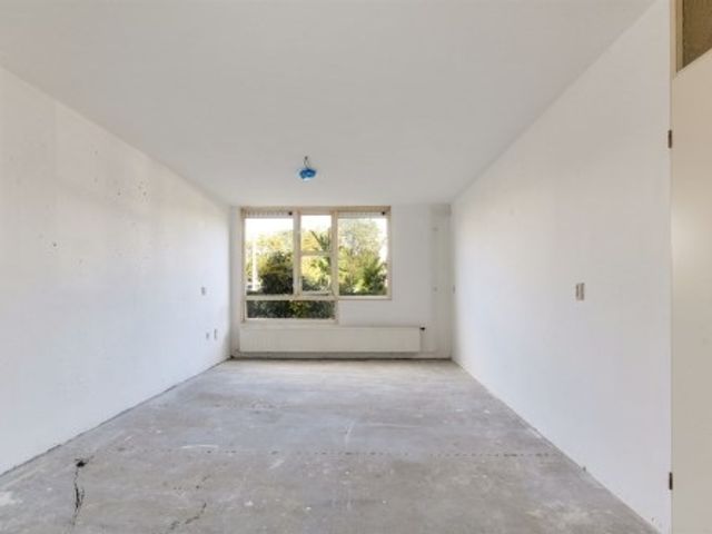 Wamelplein ONG, Amsterdam