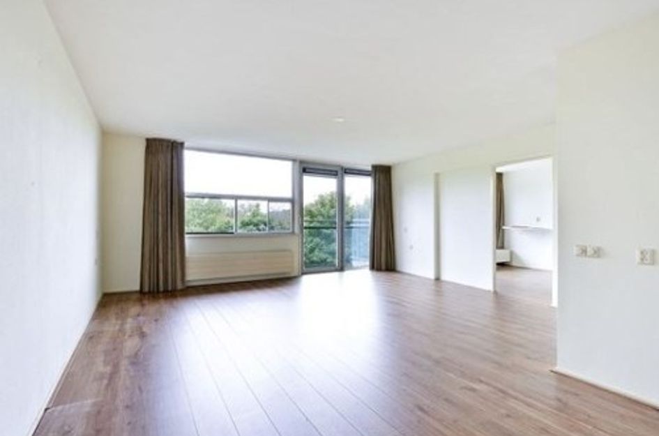 Adolphine Eduardine Kokplantsoen ONG