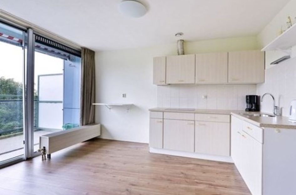 Adolphine Eduardine Kokplantsoen ONG