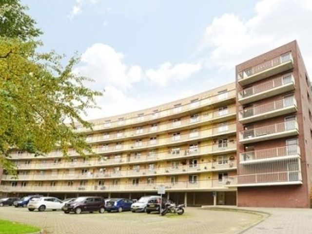 Adolphine Eduardine Kokplantsoen ONG, Amsterdam