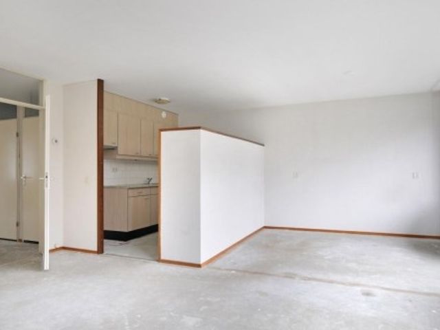 Langswater ONG, Amsterdam