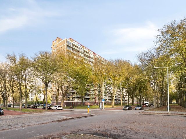 Nieuwendamlaan 166, 's-Gravenhage