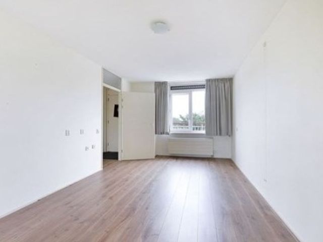 Adolphine Eduardine Kokplantsoen ONG, Amsterdam