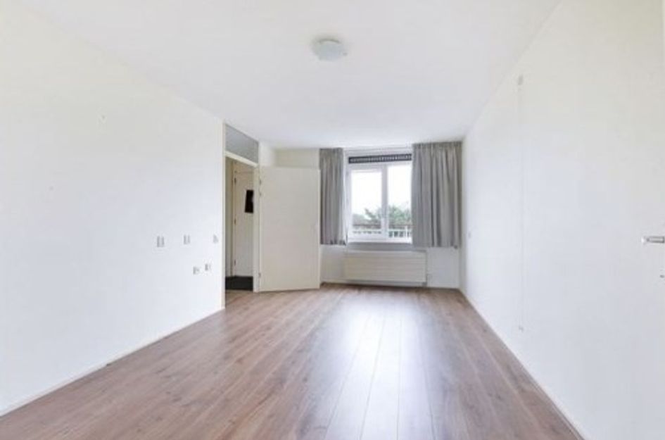 Adolphine Eduardine Kokplantsoen ONG