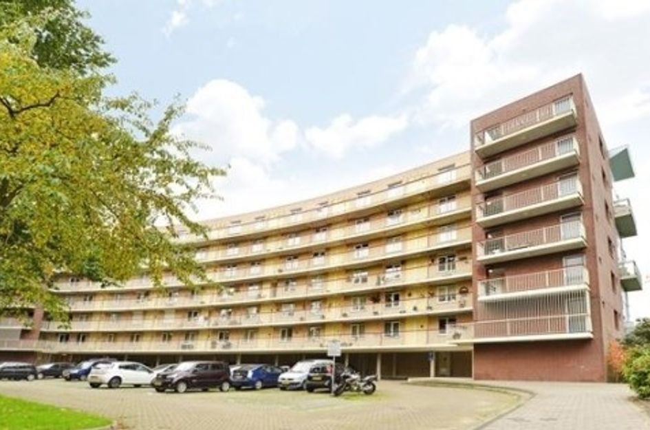 Adolphine Eduardine Kokplantsoen ONG