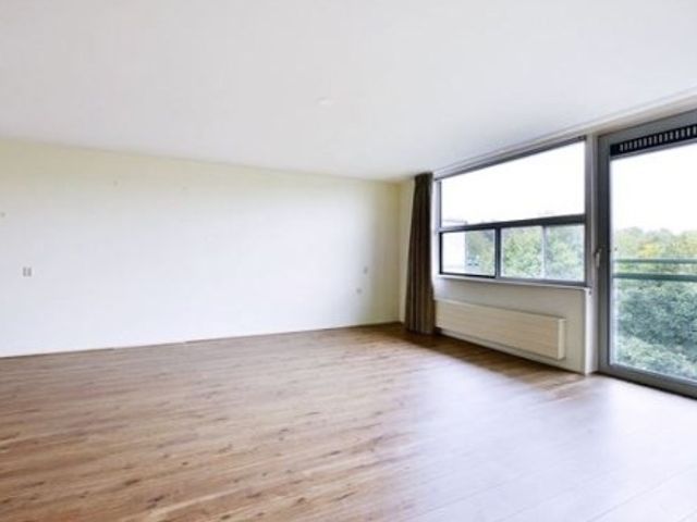 Adolphine Eduardine Kokplantsoen ONG, Amsterdam