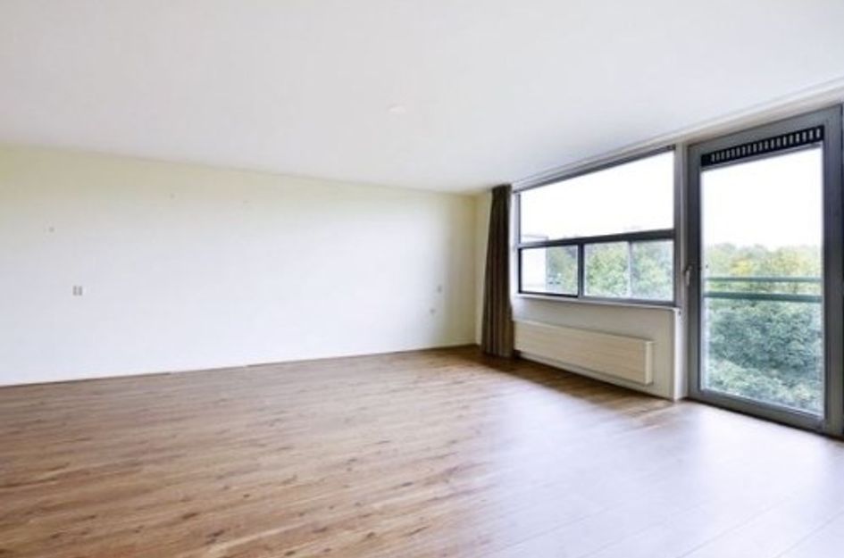 Adolphine Eduardine Kokplantsoen ONG