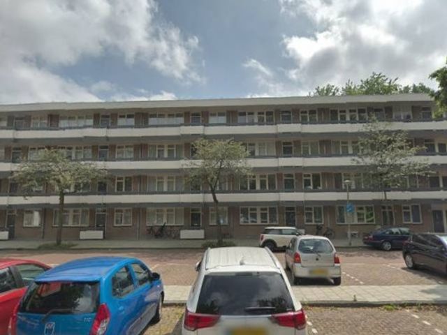 Bolestein ONG, Amsterdam