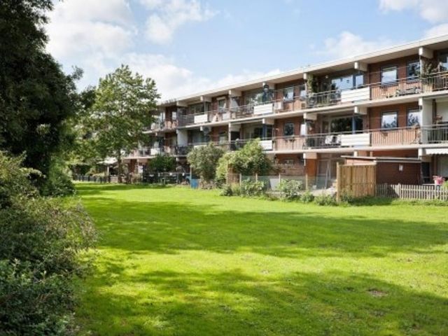 Orionsingel ONG, Arnhem