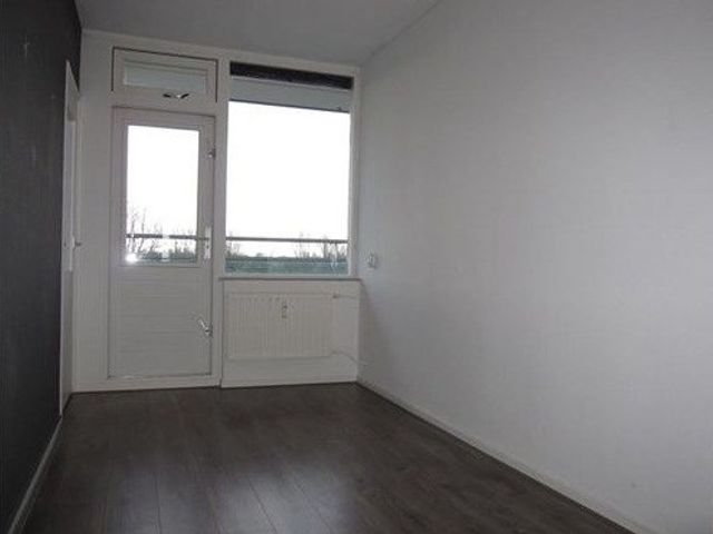 Brusselstraat ONG, Breda