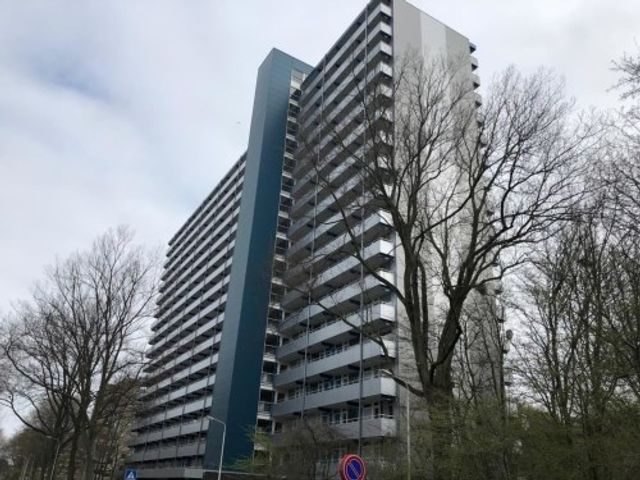 Menno Ter Braaklaan ONG, Delft