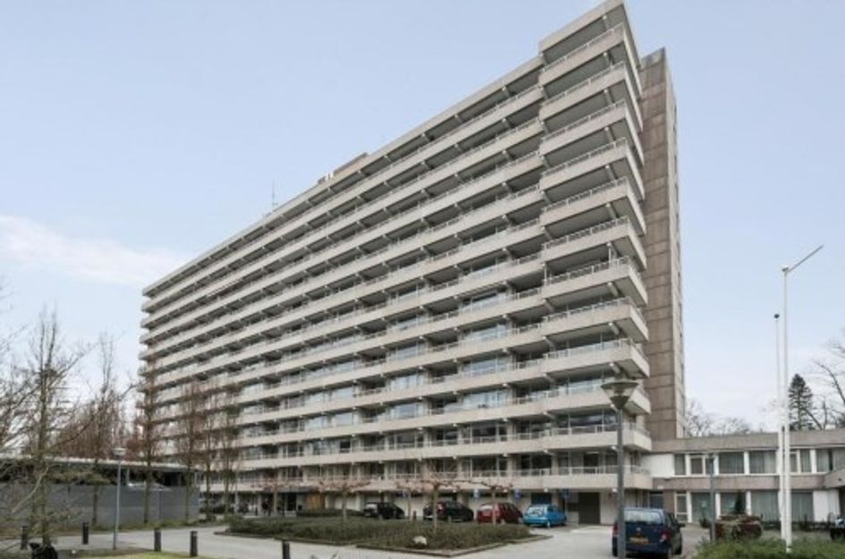 Herman Gorterlaan ONG