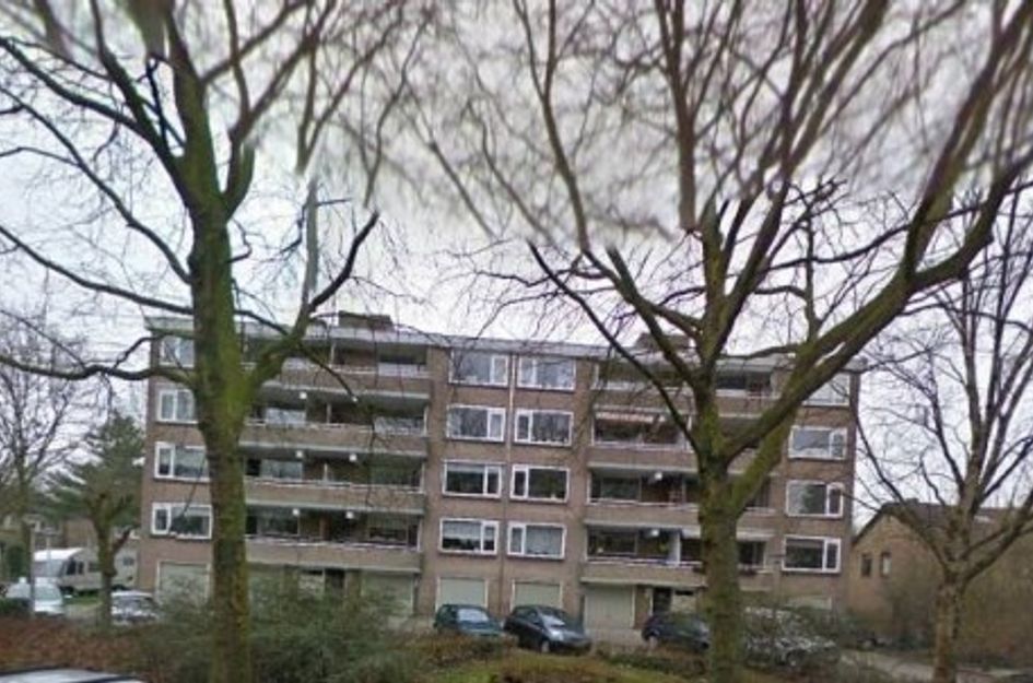 J J Van Deinselaan ONG