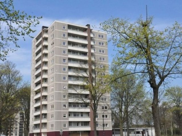 Ierlandstraat ONG, Haarlem