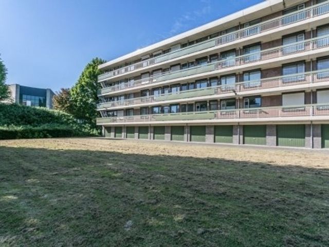 Via Regia ONG, Maastricht