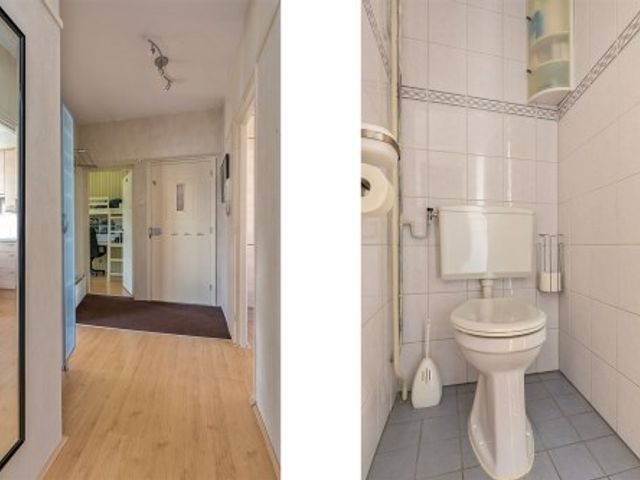 Schoonegge ONG, Rotterdam