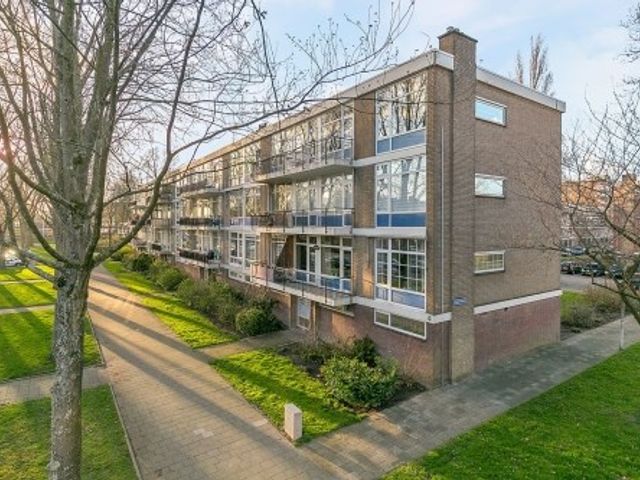 Schoonegge ONG, Rotterdam