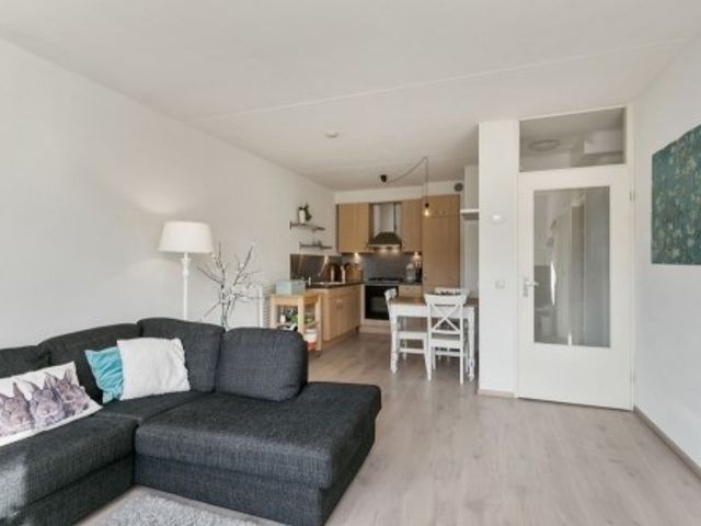 Kobelaan ONG, Rotterdam