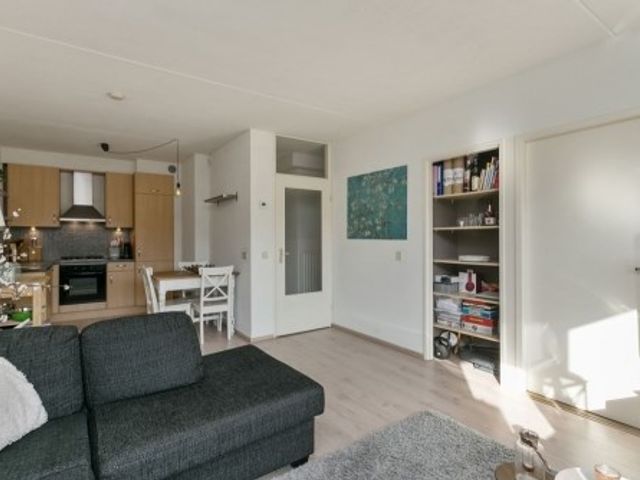 Kobelaan ONG, Rotterdam