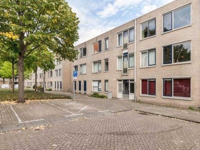 Kobelaan ONG, Rotterdam