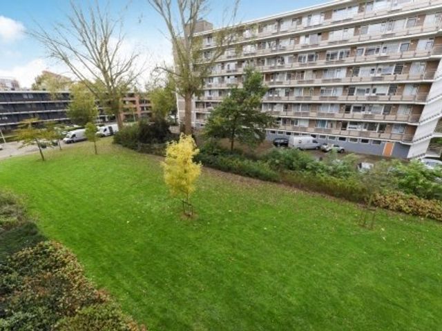 Zwedenburg ONG, 's-Gravenhage