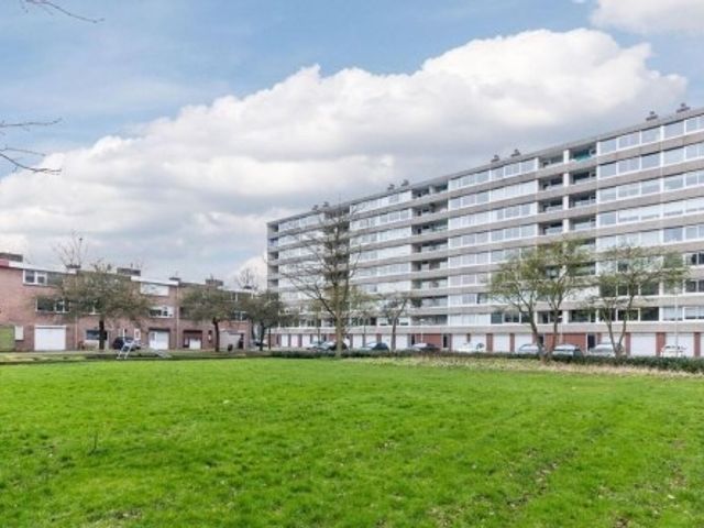 Androsdreef ONG, Utrecht