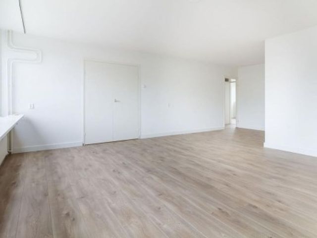 Androsdreef ONG, Utrecht