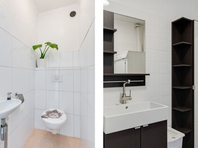 Kreekwaard , Alkmaar