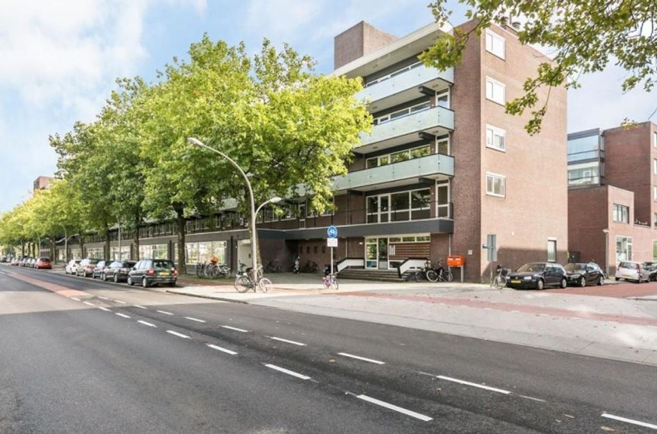 Ruys de Beerenbrouckstraat 