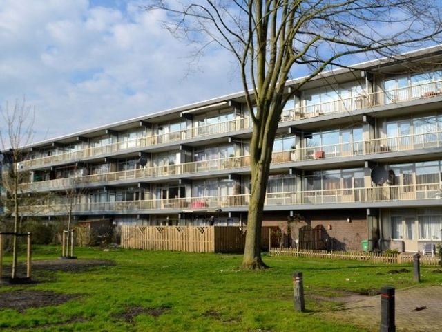 Spinaker , Amsterdam